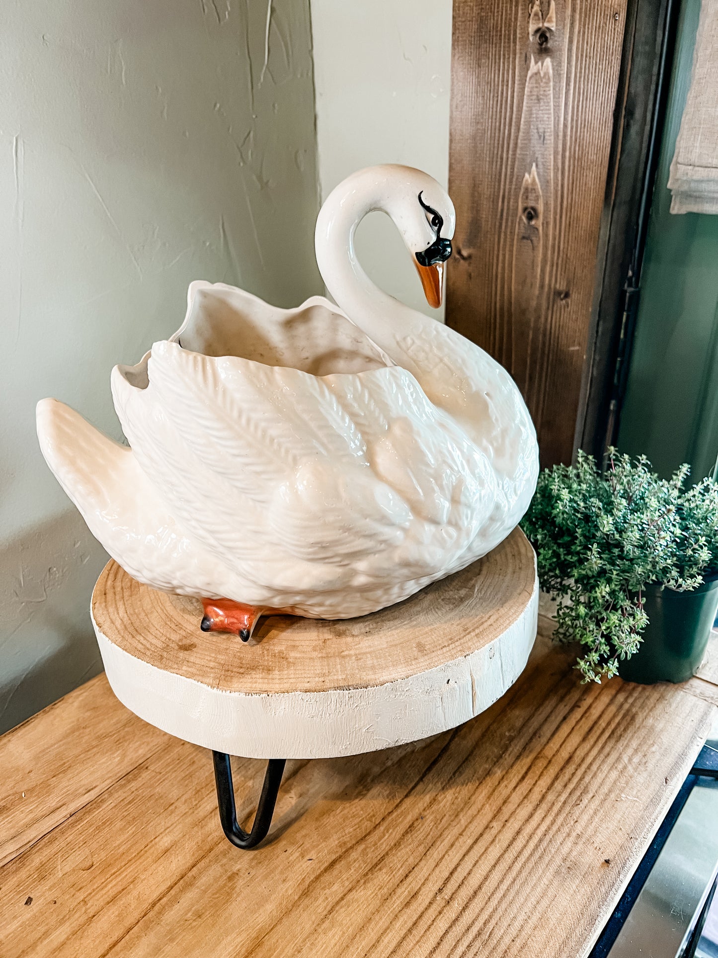 Beautiful Swan Planter