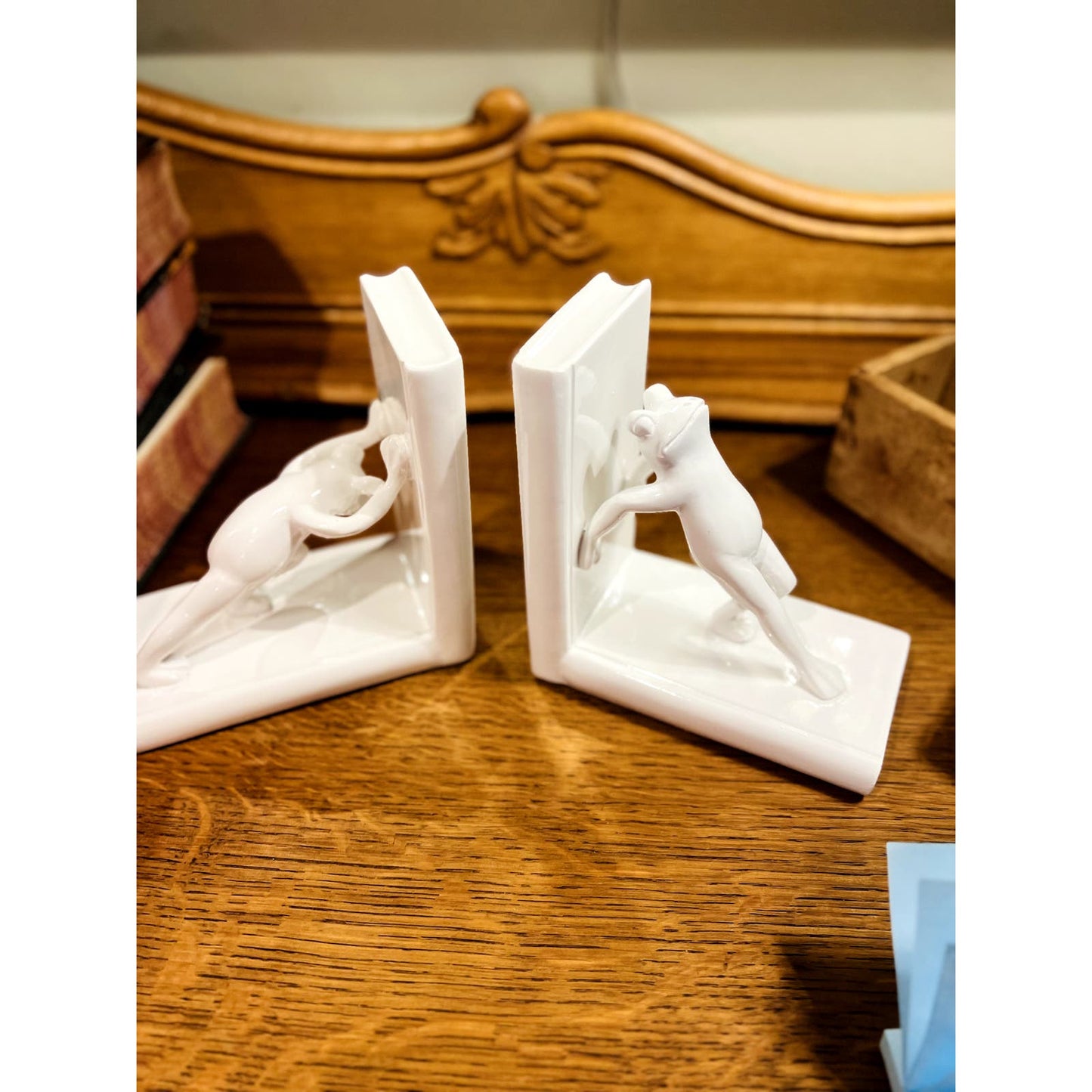 Adorable Frog Bookends