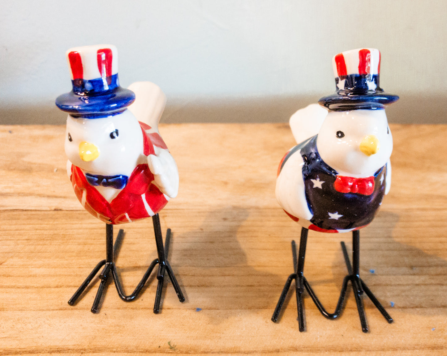 Patriotic Bird Salt and Pepper Shaker set