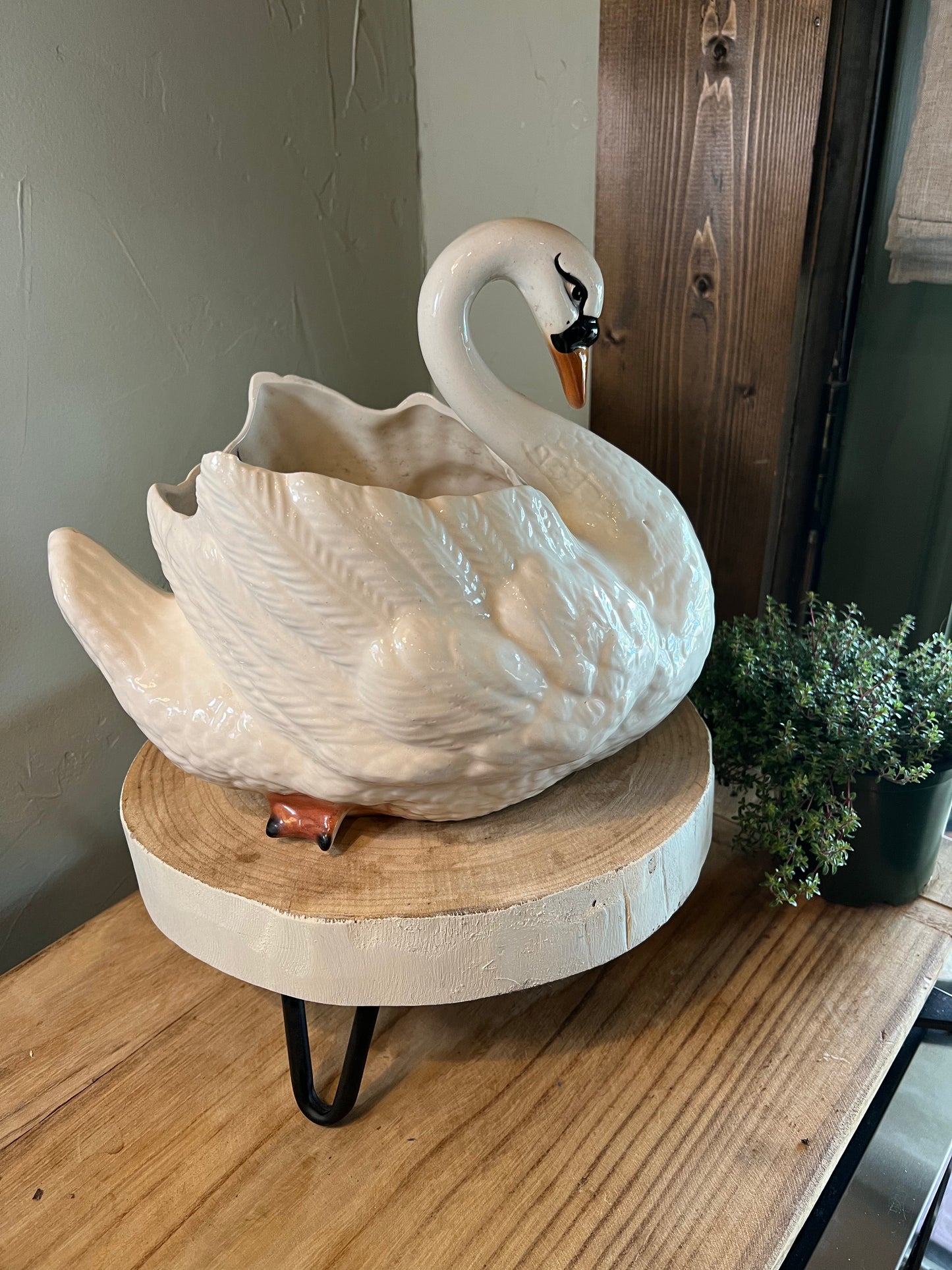 Beautiful Swan Planter